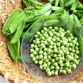 Vilka vitaminer finns i färska gröna ärtor