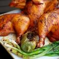 Hur man lagar grillad kyckling i ugnen på en grill eller spett - recept med foto